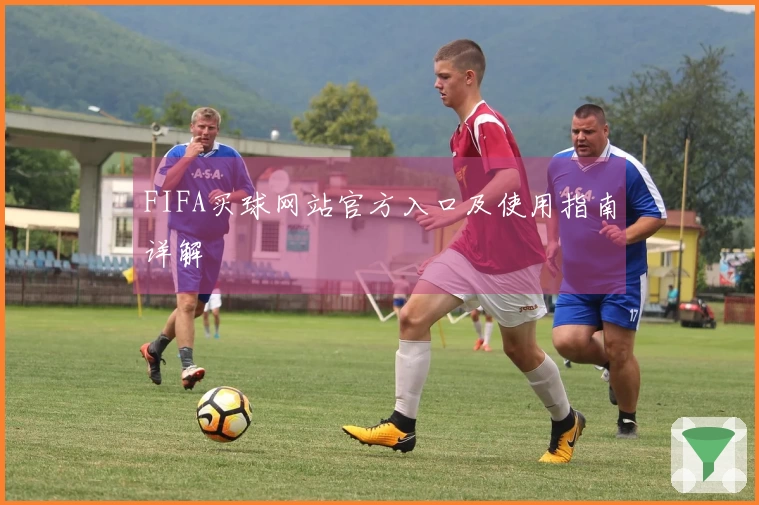 FIFA买球网站官方入口及使用指南详解