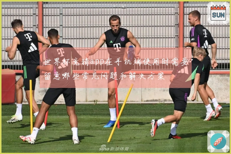 世界杯竞猜app在手机端使用时需要留意哪些常见问题和解决方案
