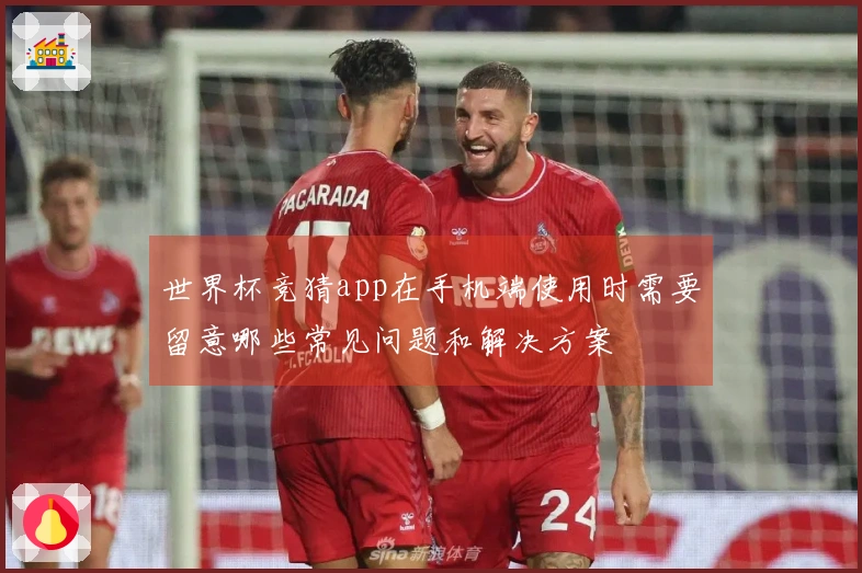 世界杯竞猜app在手机端使用时需要留意哪些常见问题和解决方案