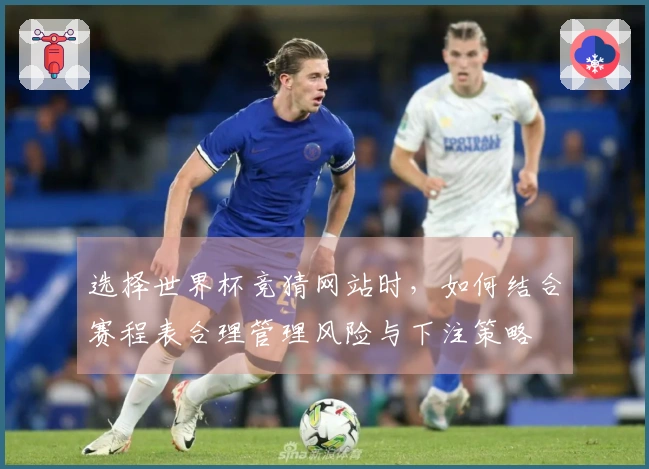 选择世界杯竞猜网站时,如何结合赛程表合理管理风险与下注策略