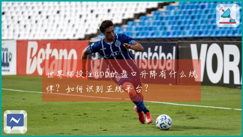 世界杯投注app的盘口升降有什么规律？如何识别正规平台？