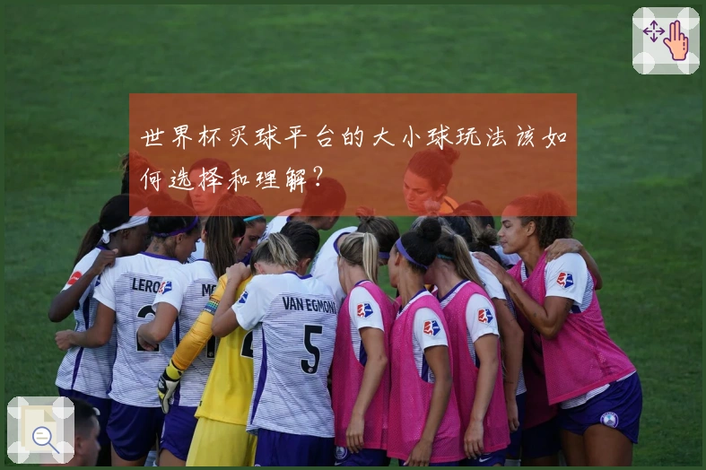 世界杯买球平台的大小球玩法该如何选择和理解?