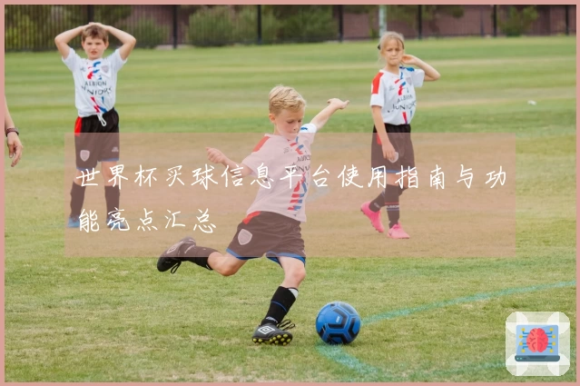 世界杯买球信息平台使用指南与功能亮点汇总