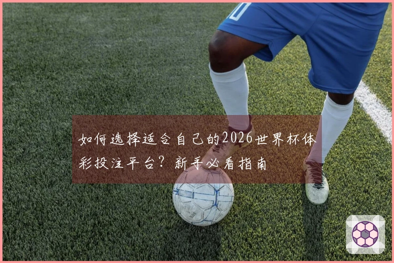 如何选择适合自己的2026世界杯体彩投注平台？新手必看指南