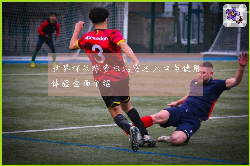 世界杯买球资讯站官方入口与使用体验全面介绍