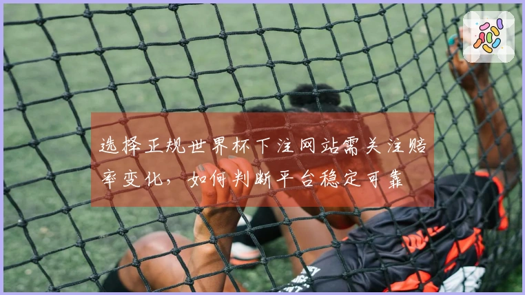 选择正规世界杯下注网站需关注赔率变化，如何判断平台稳定可靠