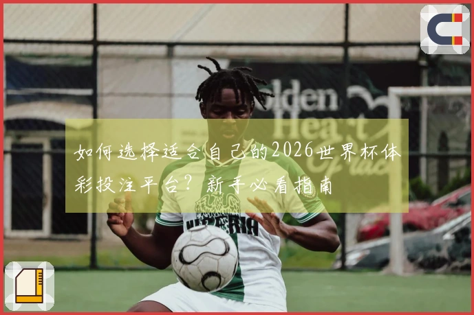 如何选择适合自己的2026世界杯体彩投注平台？新手必看指南