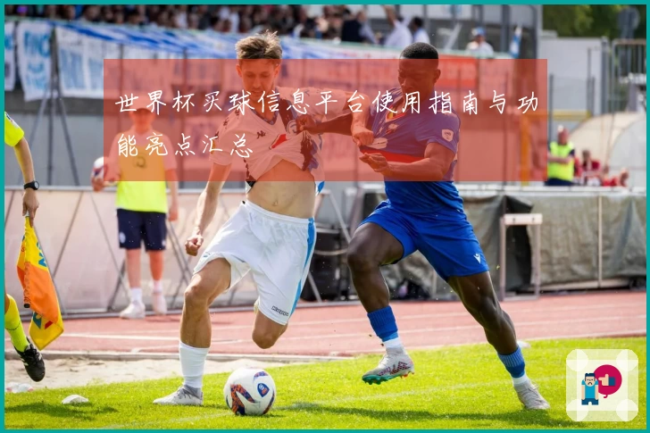 世界杯买球信息平台使用指南与功能亮点汇总