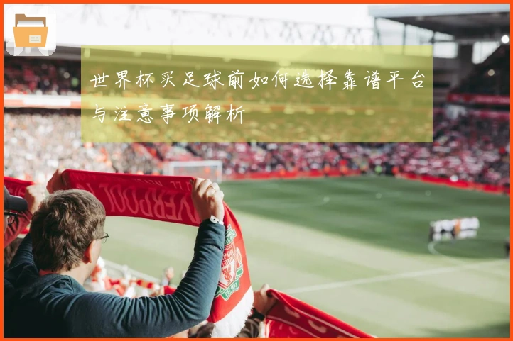 世界杯买足球前如何选择靠谱平台与注意事项解析