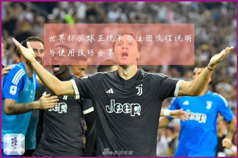世界杯买球正规平台注册流程说明与使用技巧分享
