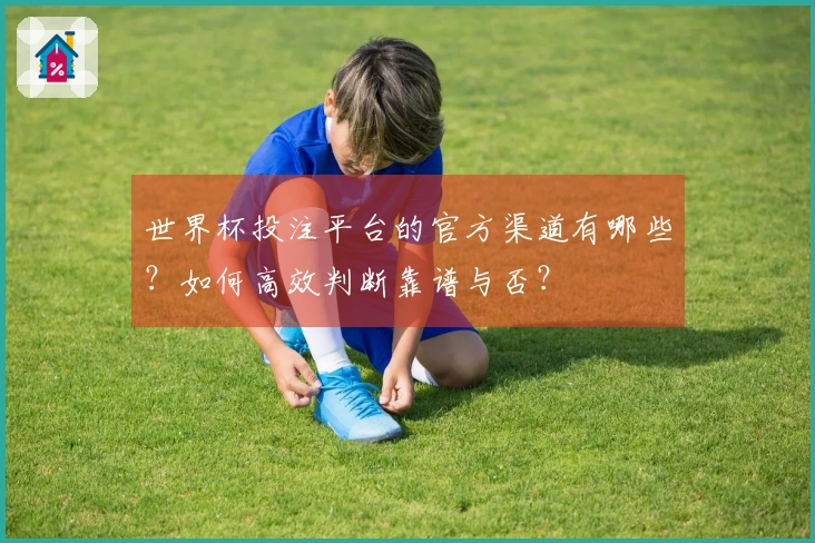世界杯投注平台的官方渠道有哪些？如何高效判断靠谱与否？