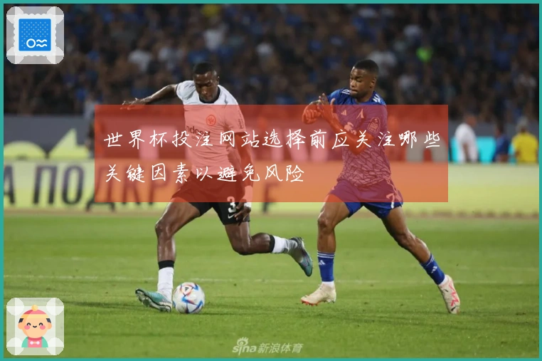 世界杯投注网站选择前应关注哪些关键因素以避免风险