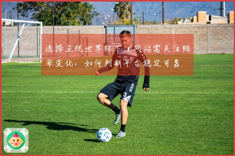 选择正规世界杯下注网站需关注赔率变化，如何判断平台稳定可靠