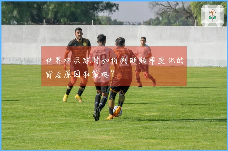 世界杯买球时如何判断赔率变化的背后原因和策略？
