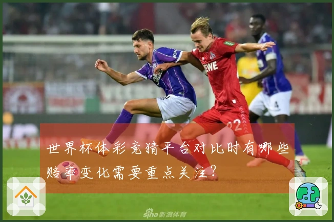 世界杯体彩竞猜平台对比时有哪些赔率变化需要重点关注?
