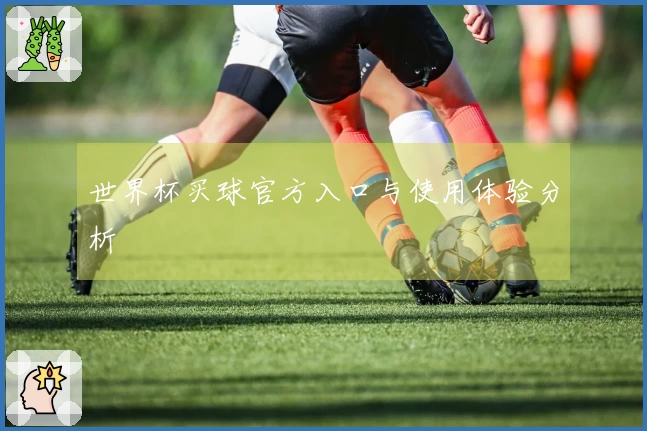 世界杯买球官方入口与使用体验分析
