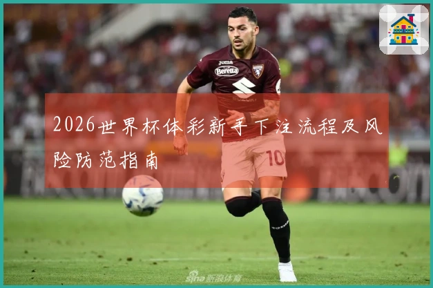 2026世界杯体彩新手下注流程及风险防范指南
