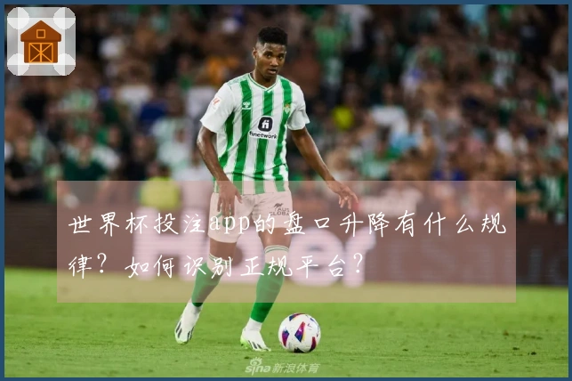 世界杯投注app的盘口升降有什么规律?如何识别正规平台?