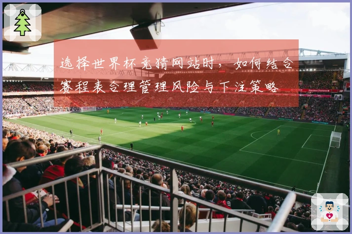 选择世界杯竞猜网站时，如何结合赛程表合理管理风险与下注策略