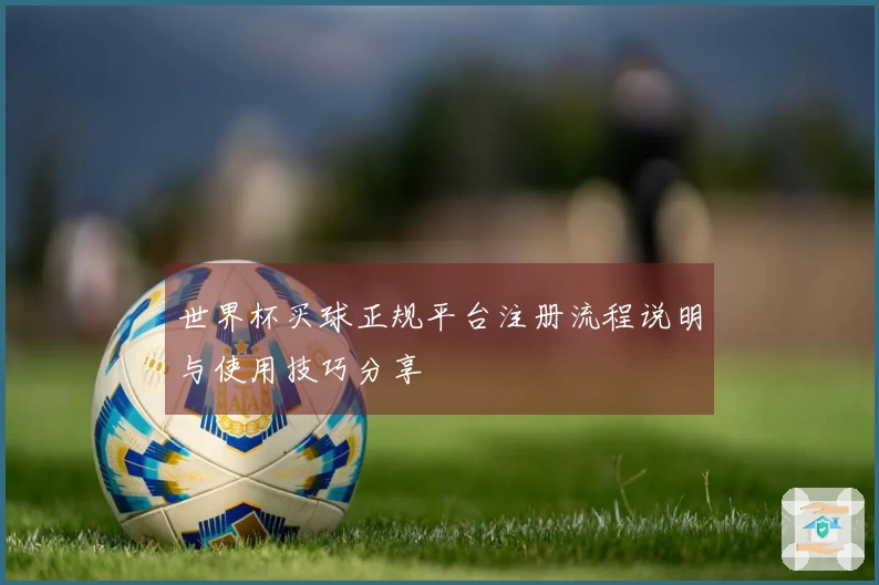 世界杯买球正规平台注册流程说明与使用技巧分享