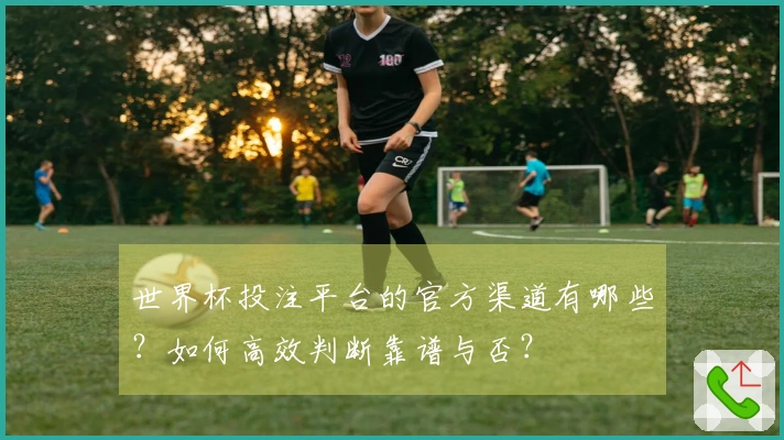 世界杯投注平台的官方渠道有哪些？如何高效判断靠谱与否？