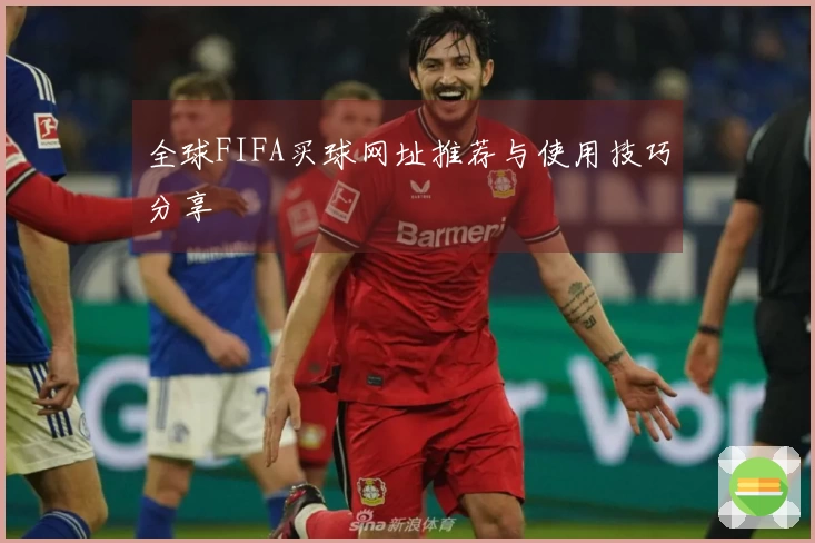 全球FIFA买球网址推荐与使用技巧分享