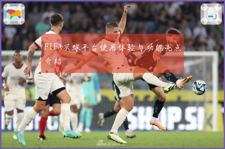 FIFA买球平台使用体验与功能亮点介绍