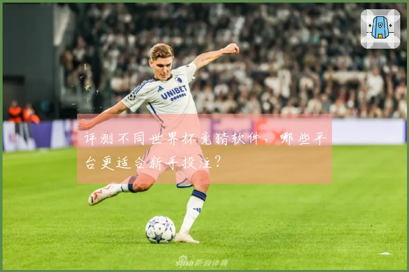 评测不同世界杯竞猜软件，哪些平台更适合新手投注？