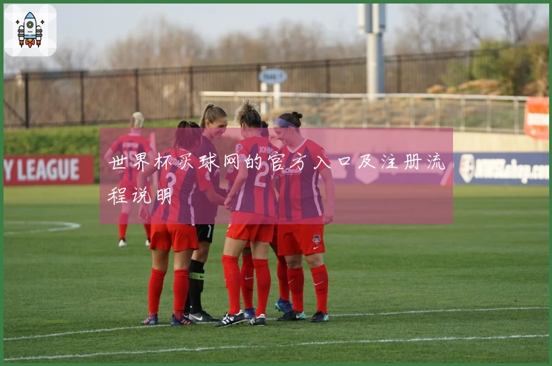 世界杯买球网的官方入口及注册流程说明