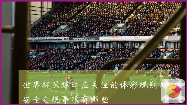 世界杯买球时应关注的体彩规则与安全合规事项有哪些