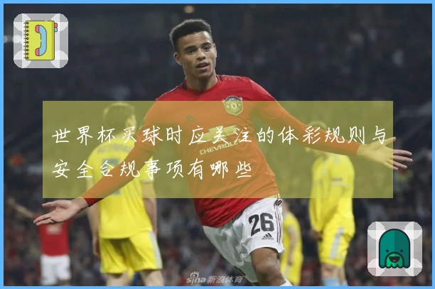 世界杯买球时应关注的体彩规则与安全合规事项有哪些