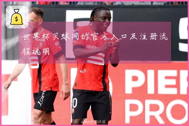 世界杯买球网的官方入口及注册流程说明
