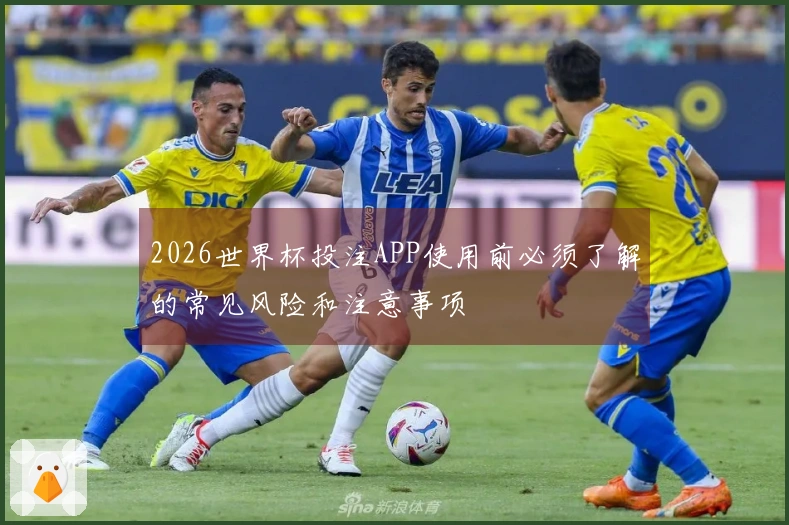 2026世界杯投注APP使用前必须了解的常见风险和注意事项
